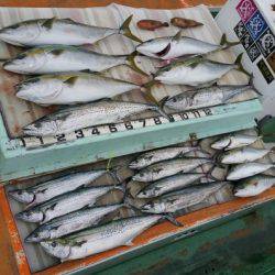 火遠理丸（ほおりまる） 釣果