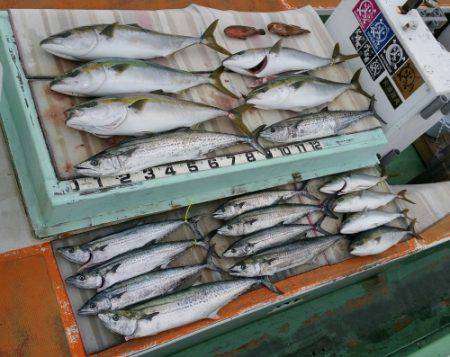 火遠理丸（ほおりまる） 釣果