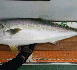 火遠理丸（ほおりまる） 釣果