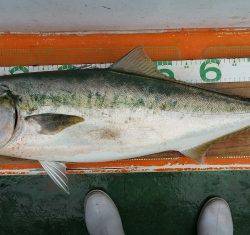 火遠理丸（ほおりまる） 釣果