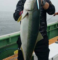 火遠理丸（ほおりまる） 釣果