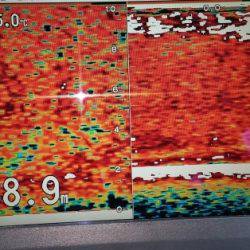 火遠理丸（ほおりまる） 釣果