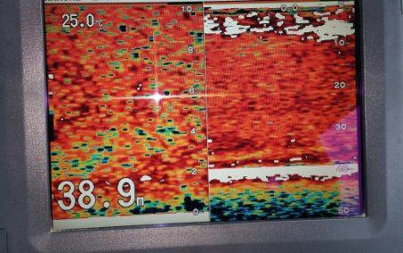 火遠理丸（ほおりまる） 釣果