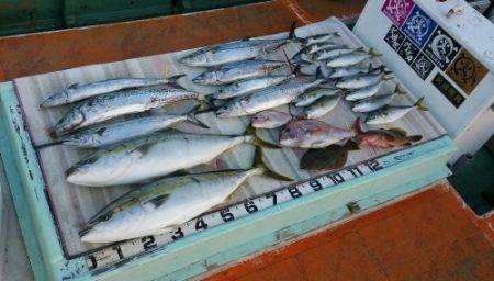 火遠理丸（ほおりまる） 釣果