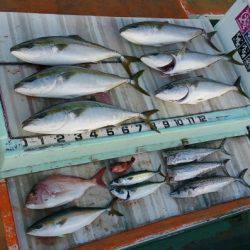 火遠理丸（ほおりまる） 釣果