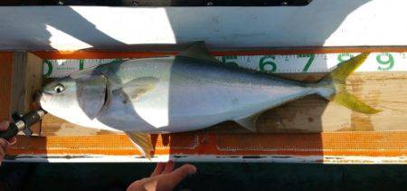 火遠理丸（ほおりまる） 釣果