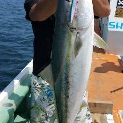 火遠理丸（ほおりまる） 釣果