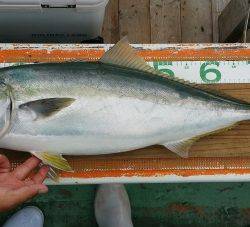 火遠理丸（ほおりまる） 釣果