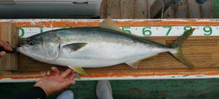 火遠理丸（ほおりまる） 釣果