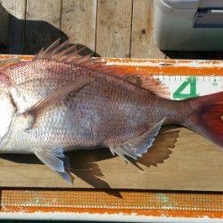 火遠理丸（ほおりまる） 釣果