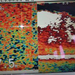 火遠理丸（ほおりまる） 釣果