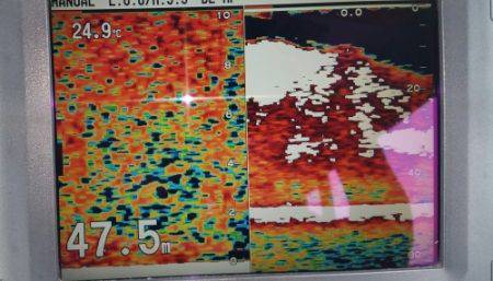 火遠理丸（ほおりまる） 釣果