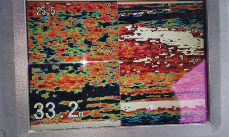火遠理丸（ほおりまる） 釣果