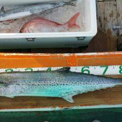 火遠理丸（ほおりまる） 釣果