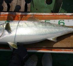 火遠理丸（ほおりまる） 釣果