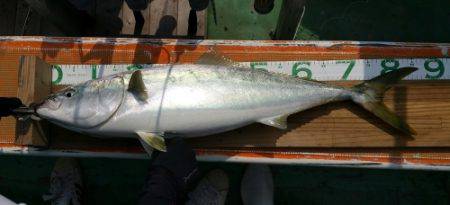 火遠理丸（ほおりまる） 釣果