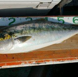 火遠理丸（ほおりまる） 釣果