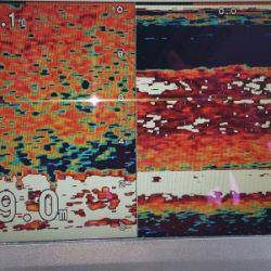 火遠理丸（ほおりまる） 釣果