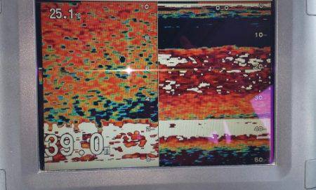 火遠理丸（ほおりまる） 釣果