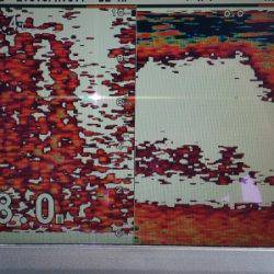 火遠理丸（ほおりまる） 釣果