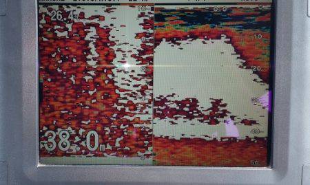 火遠理丸（ほおりまる） 釣果