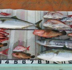 火遠理丸（ほおりまる） 釣果