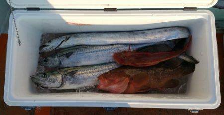 火遠理丸（ほおりまる） 釣果