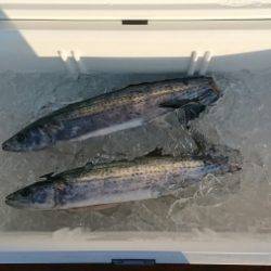 火遠理丸（ほおりまる） 釣果