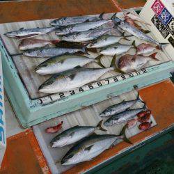 火遠理丸（ほおりまる） 釣果