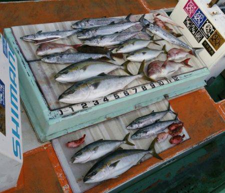 火遠理丸（ほおりまる） 釣果