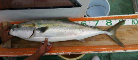 火遠理丸（ほおりまる） 釣果