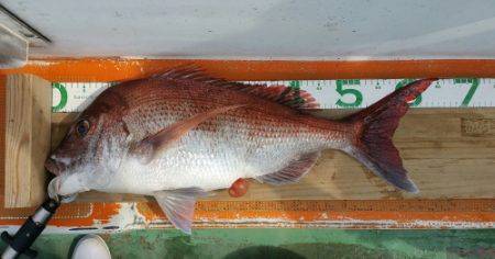 火遠理丸（ほおりまる） 釣果