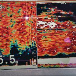 火遠理丸（ほおりまる） 釣果