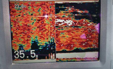火遠理丸（ほおりまる） 釣果