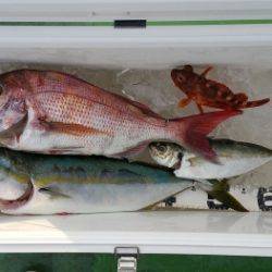 火遠理丸（ほおりまる） 釣果