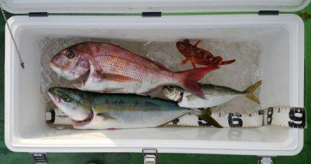 火遠理丸（ほおりまる） 釣果