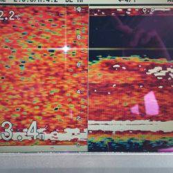 火遠理丸（ほおりまる） 釣果