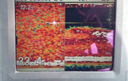 火遠理丸（ほおりまる） 釣果