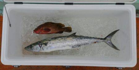 火遠理丸（ほおりまる） 釣果