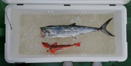 火遠理丸（ほおりまる） 釣果