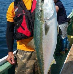 火遠理丸（ほおりまる） 釣果