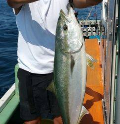 火遠理丸（ほおりまる） 釣果