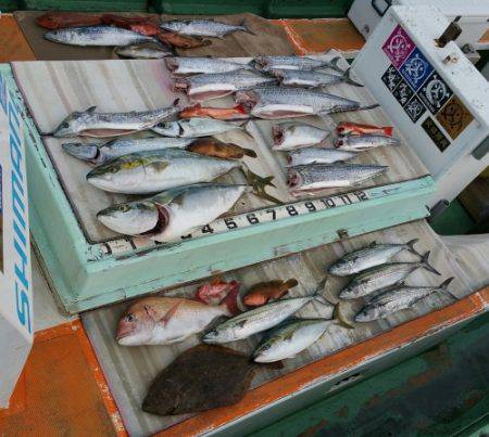 火遠理丸（ほおりまる） 釣果