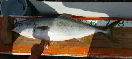 火遠理丸（ほおりまる） 釣果