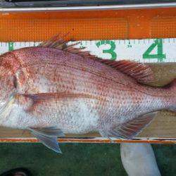 火遠理丸（ほおりまる） 釣果