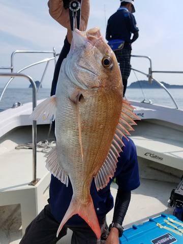 遊漁船 ニライカナイ 釣果