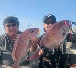 IDATEN(イダテン) 釣果