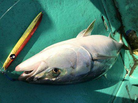 広進丸 釣果