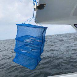 へいみつ丸 釣果