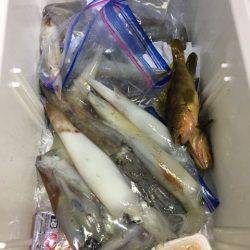 龍宮丸 釣果